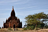 Bagan Myanmar. Minor temples near the Payathonzu. 